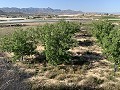 Terrain à bâtir près de Monforte del Cid in Alicante Dream Homes API 1122