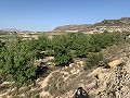 Terrain à bâtir près de Monforte del Cid in Alicante Dream Homes API 1122