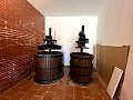 Riesiges Landhaus in Alicante Dream Homes API 1122