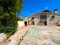 Riesiges Landhaus in Alicante Dream Homes API 1122
