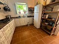 Riesiges Landhaus in Alicante Dream Homes API 1122