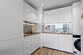 2 Schlafzimmer Wohnung in Punta Prima in Alicante Dream Homes API 1122