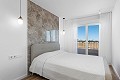 2 Schlafzimmer Wohnung in Punta Prima in Alicante Dream Homes API 1122