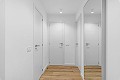 2 Schlafzimmer Wohnung in Punta Prima in Alicante Dream Homes API 1122
