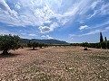 Prachtige landelijke woning wacht op een nieuw begin in Alicante Dream Homes API 1122