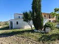 Prachtige landelijke woning wacht op een nieuw begin in Alicante Dream Homes API 1122