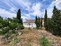 Prachtige landelijke woning wacht op een nieuw begin in Alicante Dream Homes API 1122