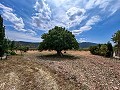 Prachtige landelijke woning wacht op een nieuw begin in Alicante Dream Homes API 1122