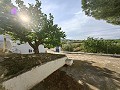 Spacieuse maison troglodyte de 230 m² avec vue sur la montagne près de Pinoso in Alicante Dream Homes API 1122