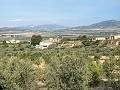 Spacieuse maison troglodyte de 230 m² avec vue sur la montagne près de Pinoso in Alicante Dream Homes API 1122