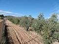 Charmante maison de campagne 2 chambres avec vue imprenable et accès goudronné, à 11 km de Yecla in Alicante Dream Homes API 1122