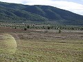 Charmante maison de campagne 2 chambres avec vue imprenable et accès goudronné, à 11 km de Yecla in Alicante Dream Homes API 1122