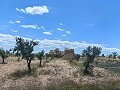 Ruine in Pinoso mit genügend Land zum Bau einer neuen Immobilie in Alicante Dream Homes API 1122
