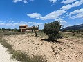 Ruine in Pinoso mit genügend Land zum Bau einer neuen Immobilie in Alicante Dream Homes API 1122