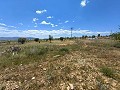 Ruine in Pinoso mit genügend Land zum Bau einer neuen Immobilie in Alicante Dream Homes API 1122