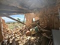 Ruine in Pinoso mit genügend Land zum Bau einer neuen Immobilie in Alicante Dream Homes API 1122