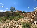 Ruine in Pinoso mit genügend Land zum Bau einer neuen Immobilie in Alicante Dream Homes API 1122