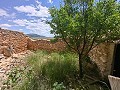 Ruine in Pinoso mit genügend Land zum Bau einer neuen Immobilie in Alicante Dream Homes API 1122