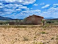 Ruine in Pinoso mit genügend Land zum Bau einer neuen Immobilie in Alicante Dream Homes API 1122