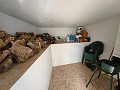 Wonderful Cave House with 344 sqm Land just 10 minutes from Pinoso in Alicante Dream Homes API 1122