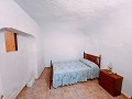 Wonderful Cave House with 344 sqm Land just 10 minutes from Pinoso in Alicante Dream Homes API 1122