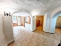 Wonderful Cave House with 344 sqm Land just 10 minutes from Pinoso in Alicante Dream Homes API 1122