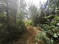 Wonderful Cave House with 344 sqm Land just 10 minutes from Pinoso in Alicante Dream Homes API 1122