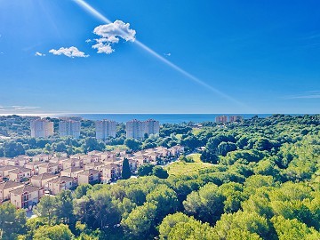 Appartement de 2 chambres à Dehesa De Campoamor