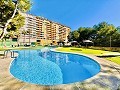 Appartement de 2 chambres à Dehesa De Campoamor in Alicante Dream Homes API 1122