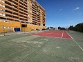 Appartement de 2 chambres à Dehesa De Campoamor in Alicante Dream Homes API 1122