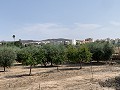 Villa met privézwembad, 3 slaapkamers, aparte garage en olijfbomen in Alicante Dream Homes API 1122