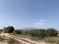 Villa met privézwembad, 3 slaapkamers, aparte garage en olijfbomen in Alicante Dream Homes API 1122