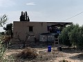Villa met privézwembad, 3 slaapkamers, aparte garage en olijfbomen in Alicante Dream Homes API 1122