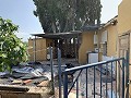 Villa met privézwembad, 3 slaapkamers, aparte garage en olijfbomen in Alicante Dream Homes API 1122