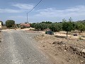Villa met privézwembad, 3 slaapkamers, aparte garage en olijfbomen in Alicante Dream Homes API 1122