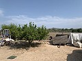 Villa met privézwembad, 3 slaapkamers, aparte garage en olijfbomen in Alicante Dream Homes API 1122
