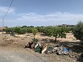 Villa met privézwembad, 3 slaapkamers, aparte garage en olijfbomen in Alicante Dream Homes API 1122