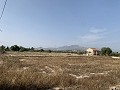 Villa met privézwembad, 3 slaapkamers, aparte garage en olijfbomen in Alicante Dream Homes API 1122