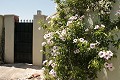 Lovely 3 Bed 2 Bath Villa in Abanilla. in Alicante Dream Homes API 1122