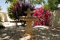 Lovely 3 Bed 2 Bath Villa in Abanilla. in Alicante Dream Homes API 1122