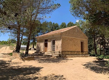 Belle Finca hors réseau de 4 chambres et 1 salle de bain à Almansa.