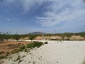 Schöne Villa mit 6 Schlafzimmern und 5 Bädern in Pinoso. in Alicante Dream Homes API 1122