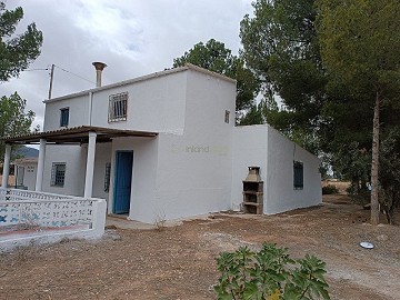 Belle maison de campagne de 5 chambres et 2 salles de bain avec piscine à Yecla.