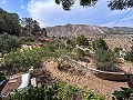 Wunderschönes Landhaus mit unglaublichem Bergblick in Petrer in Alicante Dream Homes API 1122