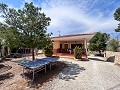 Wunderschönes Landhaus mit unglaublichem Bergblick in Petrer in Alicante Dream Homes API 1122