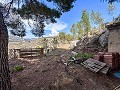 Wunderschönes Landhaus mit unglaublichem Bergblick in Petrer in Alicante Dream Homes API 1122