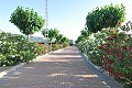 Prachtige villa met 4 slaapkamers en 2 badkamers in Villena. in Alicante Dream Homes API 1122