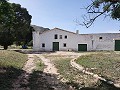 Belle maison de campagne de 6 chambres et 1 salle de bain à Yecla. in Alicante Dream Homes API 1122