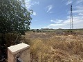 Prachtige villa met 4 slaapkamers en 1 badkamer in Villena. in Alicante Dream Homes API 1122
