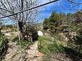 Pretty Country Home in Alicante Dream Homes API 1122
